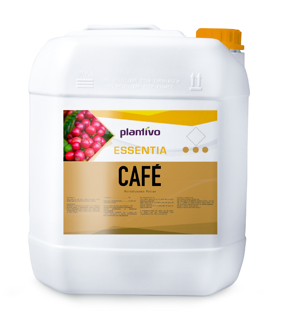 CAFÉ