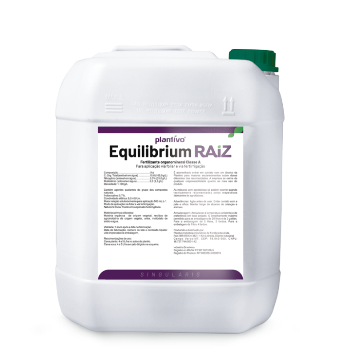 Equilibrium Raiz